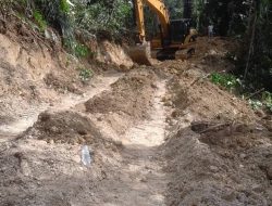 DPRD Buton Utara Dukung Pembangunan Jalan Usaha Tani, Mudahkan Petani Mobilisasi Hasil Panen