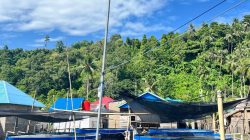 DPRD Dukung Pengembangan Budidaya Udang Vaname  Sistem Bioflok di Buton Utara