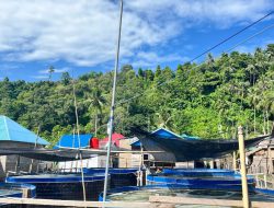 DPRD Dukung Pengembangan Budidaya Udang Vaname  Sistem Bioflok di Buton Utara