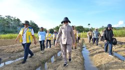 Wali Kota Kendari Dorong Percepatan Tanam Padi di Labibia