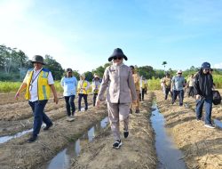 Wali Kota Kendari Dorong Percepatan Tanam Padi di Labibia