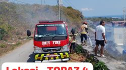 5 Titik Kebakaran Lahan di Kota Baubau, Damkar Lakukan Pemadaman