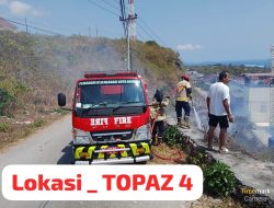5 Titik Kebakaran Lahan di Kota Baubau, Damkar Lakukan Pemadaman